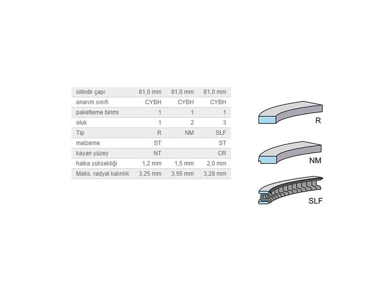 SEGMAN SETİ 81,01MM VAG A3 A4 BO1 GO3-4 PAS PO3 94-