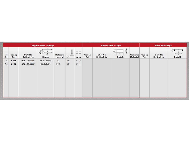 SUPAP IN.4 EX.4 VAG A2 A3 A4 GO4-5 JET3 PAS T5 00-11