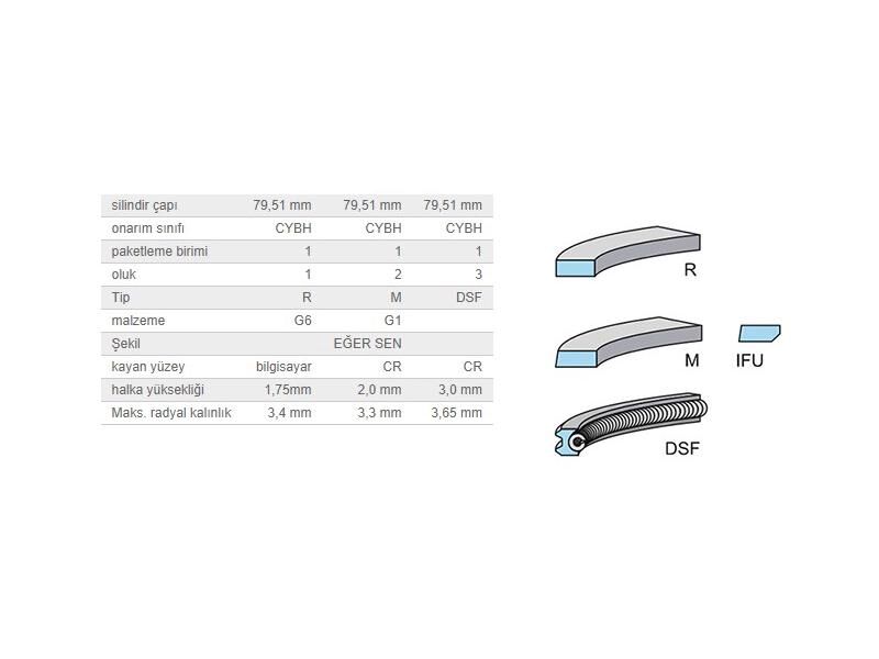 SEGMAN SETİ 79,50MM VAG A3 A4 A6 BO1 CAD3 GO4-5 JET3 PAS PO3-4 T5 98-