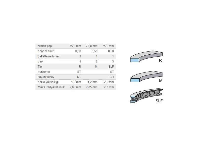 SEGMAN SETİ 75,00MM VAG IBIZA4-5 Mii PO5-6 UP! 14-