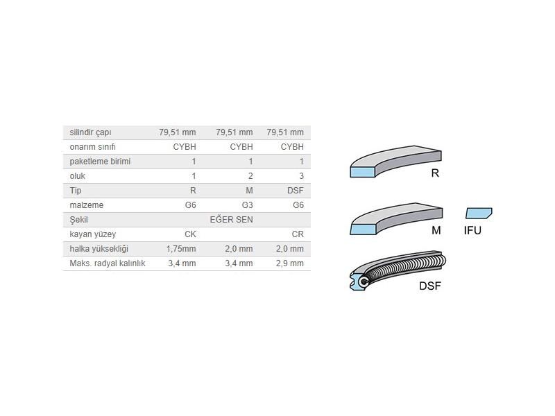 SEGMAN SETİ 79,50MM VAG A1 A3 GO7 PAS 13-