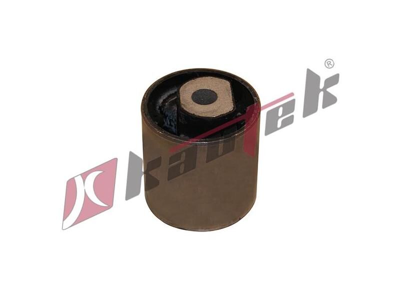 SALINCAK BURCU ÖN  LAND SPORT ROVER3 02-12 L322