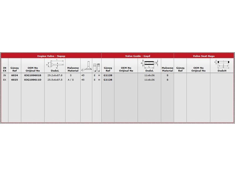 SUPAP IN.8 EX.8 VAG A3 A4 A6 CAD3 GO5 JET3 PAS 03-13