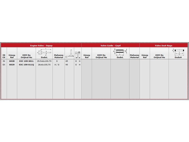 SUPAP IN.8 EX.8 VAG PAS POLO TOURAN 10-15