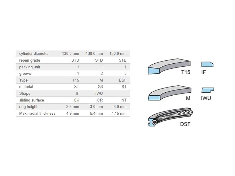 SEGMAN SETİ 130MM SCANİA 130.00MM DC13 EURO5