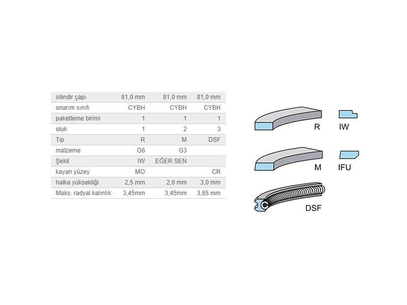 SEGMAN SETİ 81,01MM VAG 100 A6 LT28 T4 95-