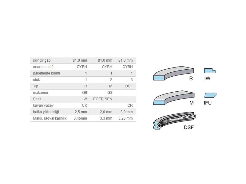 SEGMAN SETİ 81,01MM VAG T5 TOUAREG 03-