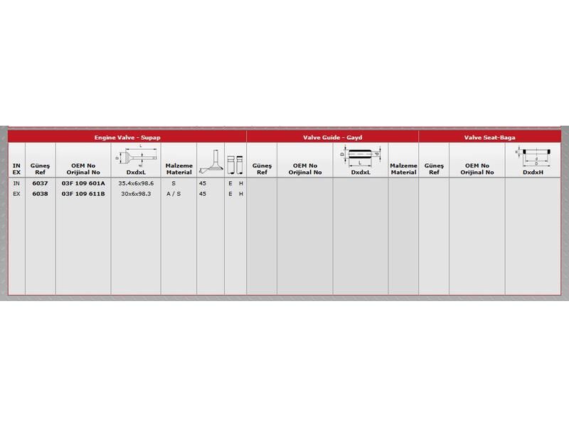 SUPAP IN.4 EX.4 VAG A1 A3 CAD3 GO6 JET4 08-19