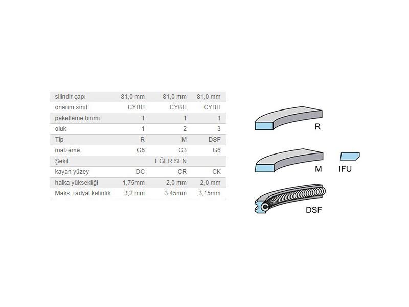 SEGMAN SETİ 81,00MM VAG A3 CRAFT GO7 T6 16-