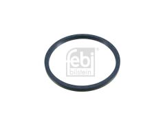 PORYA KEÇESİ ARKA LKW İVECO CARGO STAR TECH TRAKKER