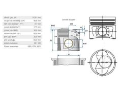 PİSTON 81,01MM VAG A3 A4 CAD3 GO5 JET3 PAS 04-