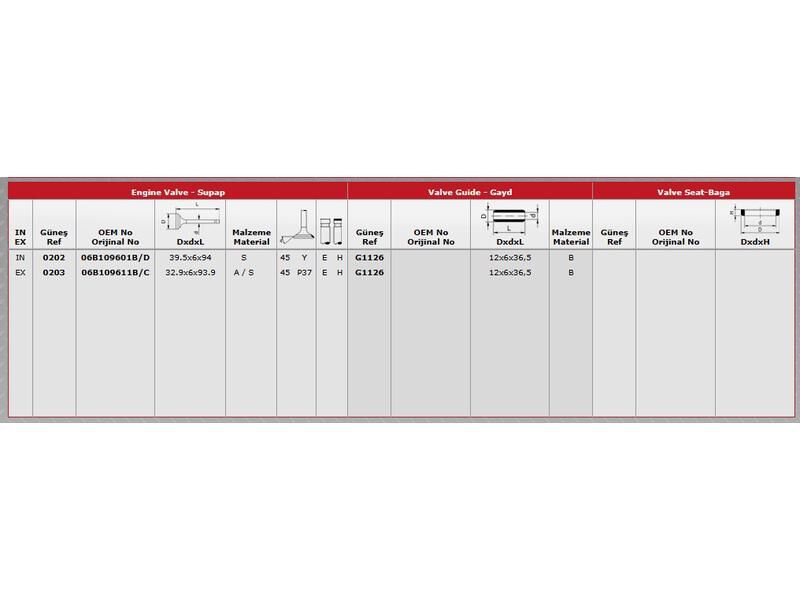 SUPAP IN.4 EX.4 VAG A3 A4 CAD3 GO5-6 JET3 PAS 00-15