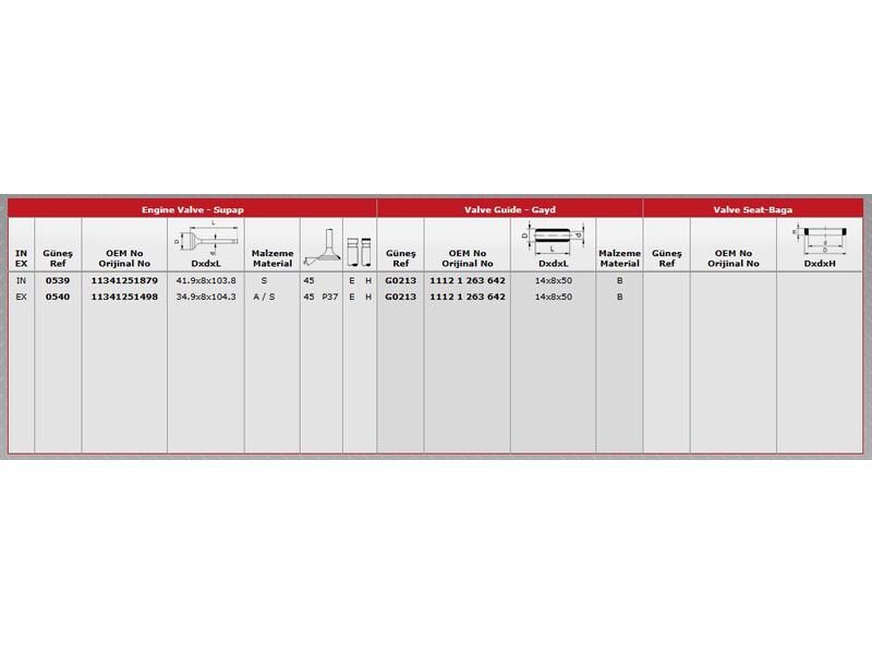 SUPAP IN.4 EX.4 BMW F12 21 28 30 63-91