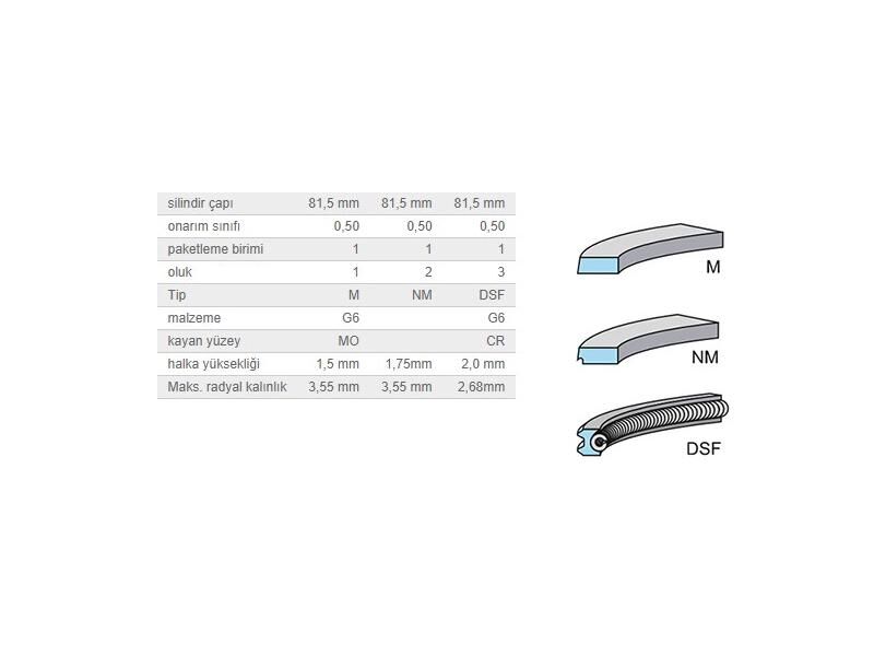 SEGMAN SETİ 81,50MM VAG A3 A4 A6 BO1 GO4 PASSAT 95-