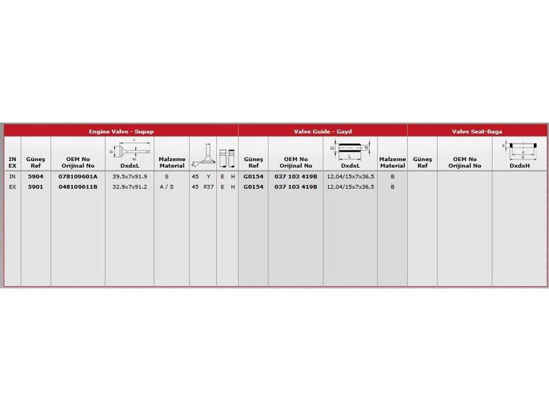 SUPAP IN.4 EX.4 VAG A3 A4 CAD3 GO3-4 JET4 PAS T5 91-15