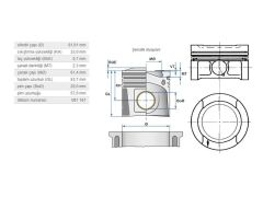 PİSTON 81,01MM VAG A3 A4 BO1 GO3-4 PAS PO3 94-