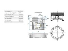 PİSTON 81,01MM VAG A3 A4 BO1 CAD3 GO4-5-6 JET3 PAS 00-