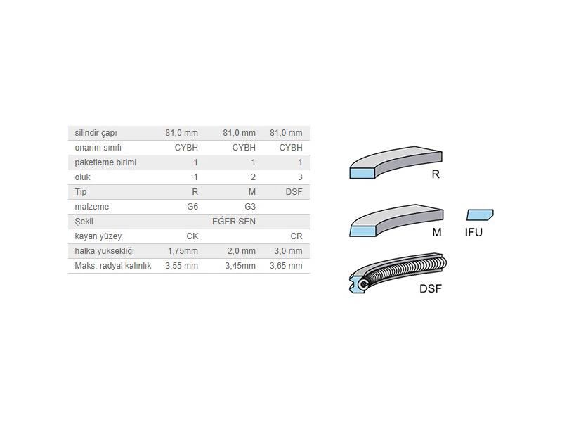 SEGMAN SETİ 81,00MM VAG A3 A4 A6 CAD3 GO5 JET3 PAS 03-