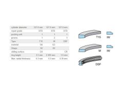 SEGMAN SETİ 127MM SCANİA 127.00MM 124 DT12 EURO4