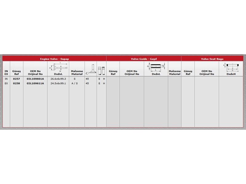 SUPAP IN.8 EX.8 VAG A1 A3 CAD3 GO7 JET3 PAS 09-16